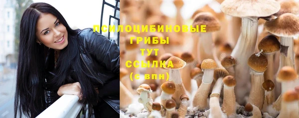 apvp Себеж
