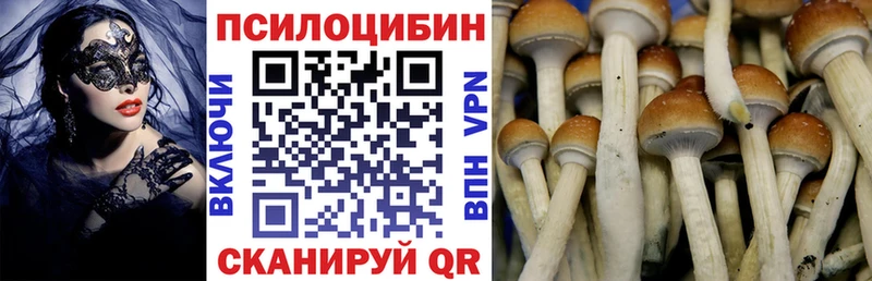 Галлюциногенные грибы MAGIC MUSHROOMS  Фатеж 